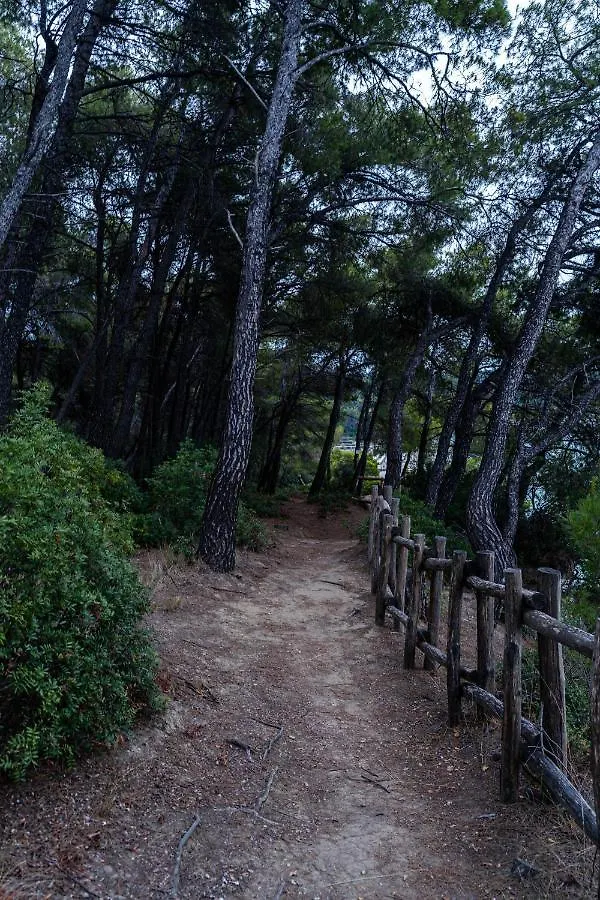 Forest Sani Villa 0*, Sani (Chalkidiki) Greece